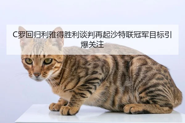 C罗回归利雅得胜利谈判再起沙特联冠军目标引爆关注