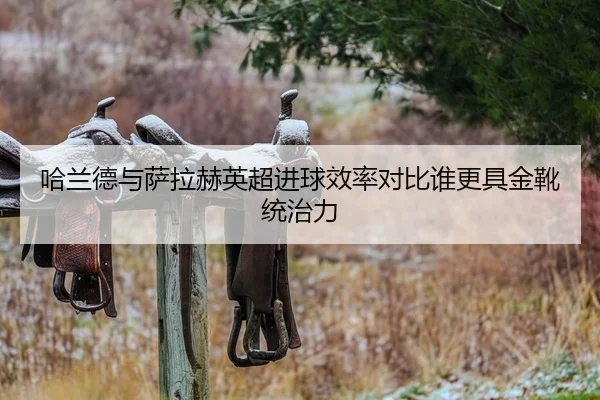 哈兰德与萨拉赫英超进球效率对比谁更具金靴统治力