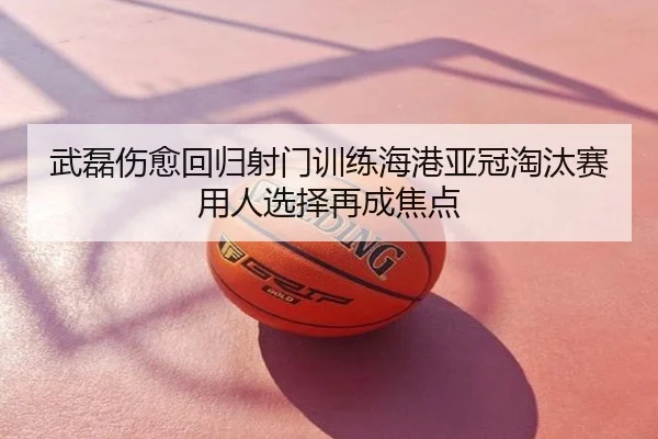 武磊伤愈回归射门训练海港亚冠淘汰赛用人选择再成焦点
